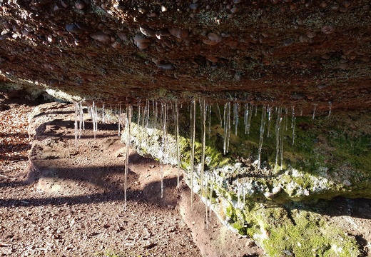 IMG 20190119 114207273